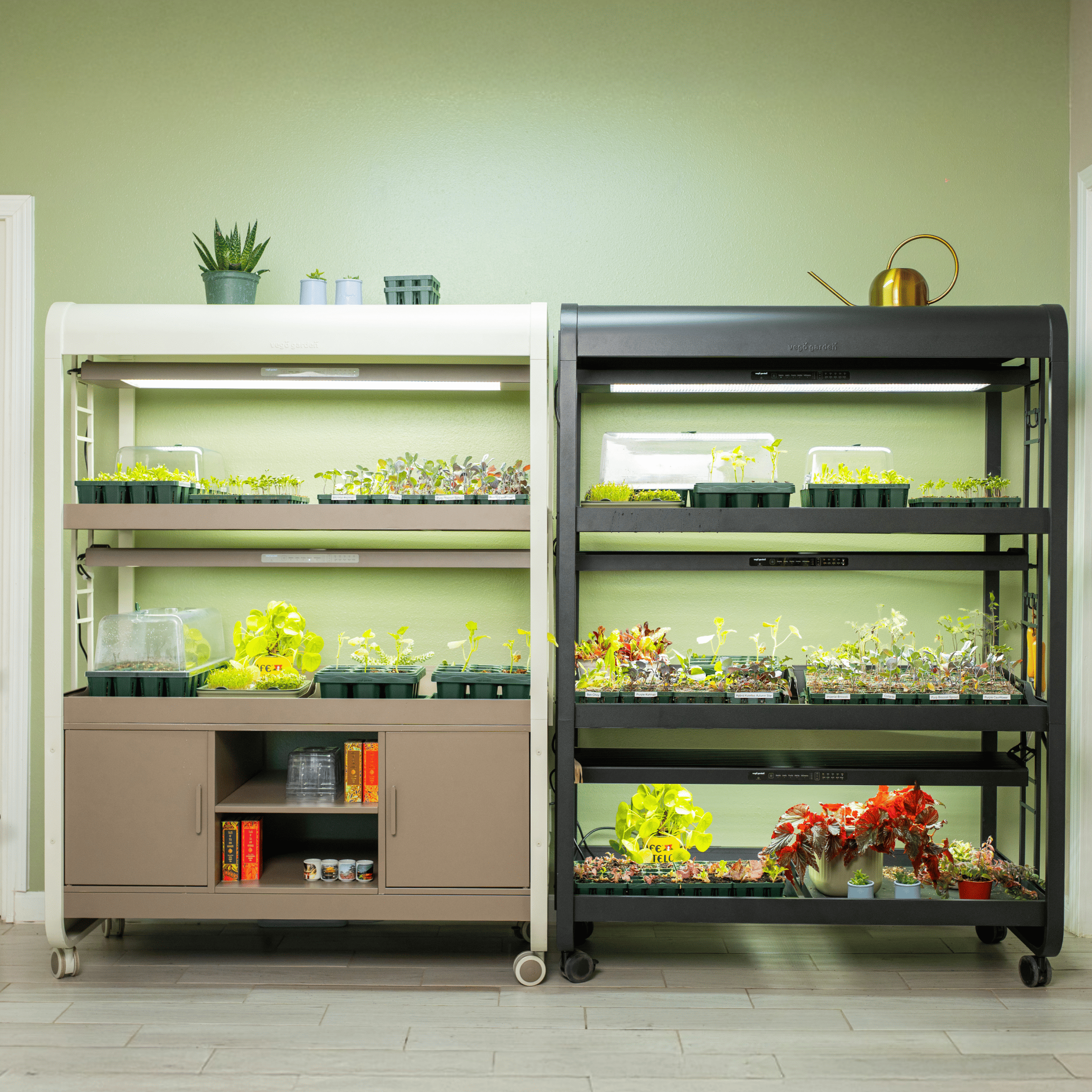 Ultimate Grow Light Garden with Storage