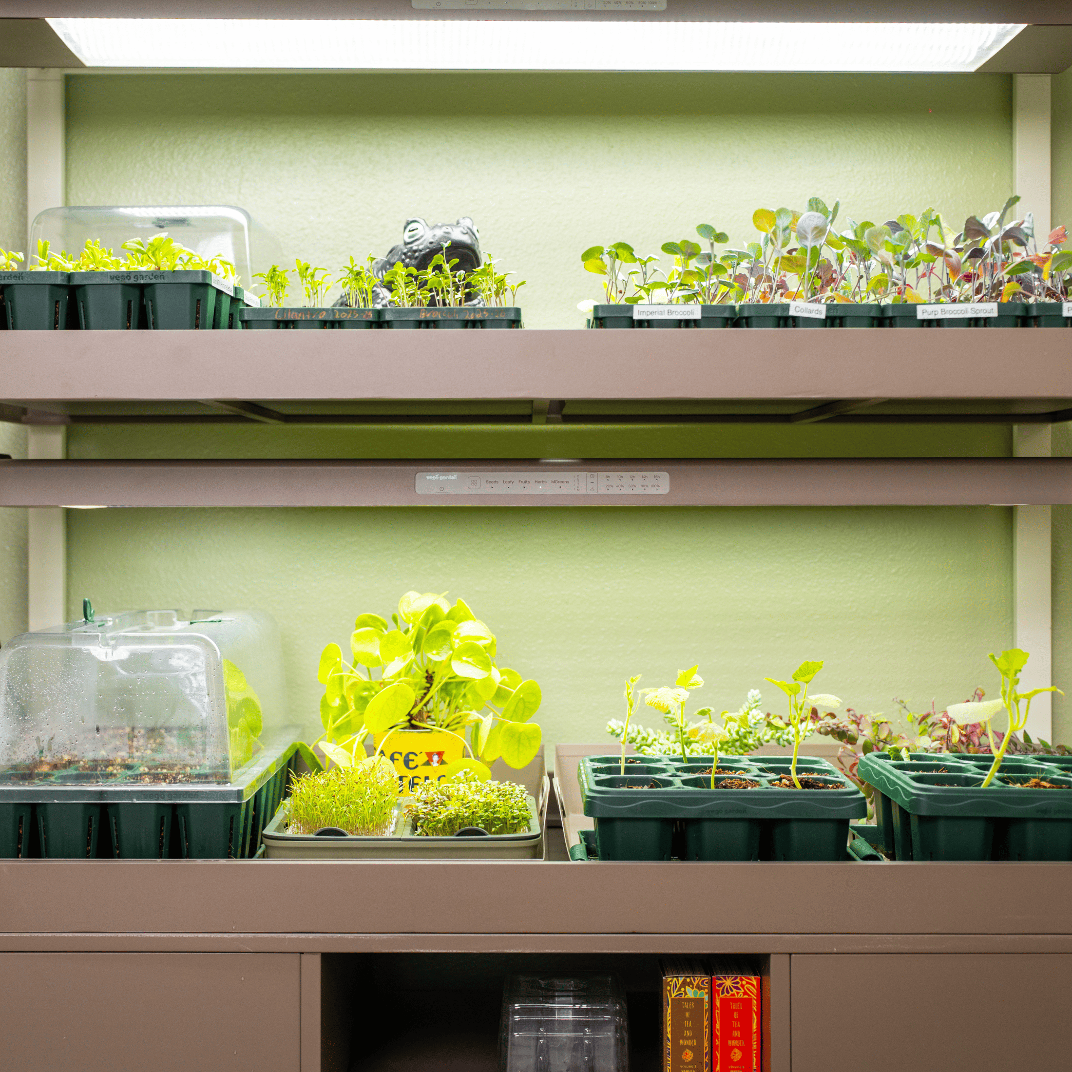 Ultimate Grow Light Garden with Storage