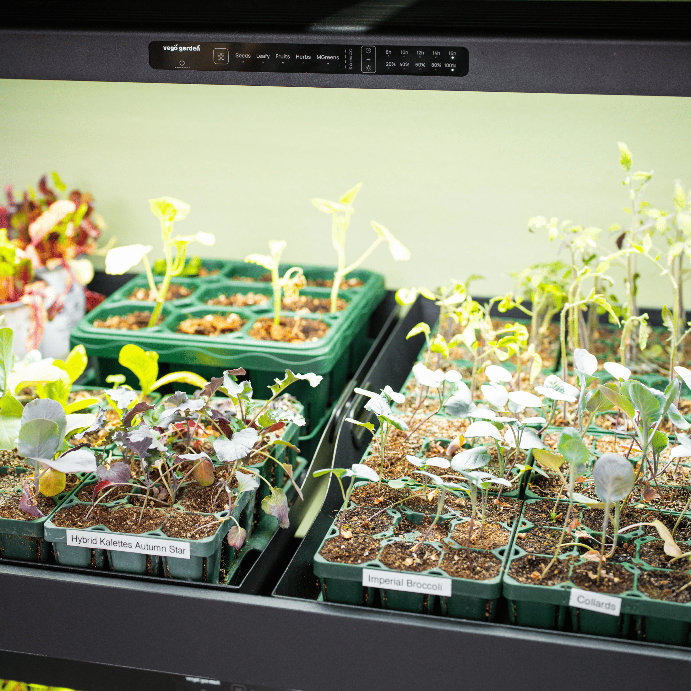 Ultimate Grow Light Garden with Storage