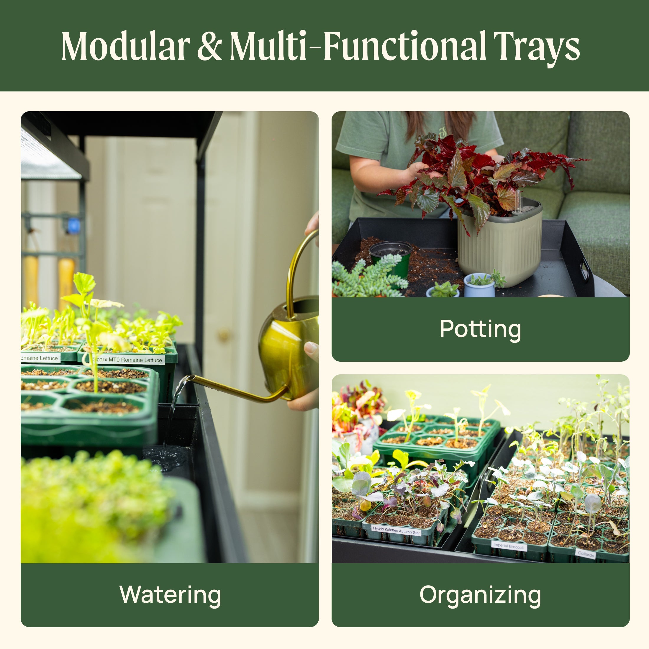 Ultimate Grow Light Garden