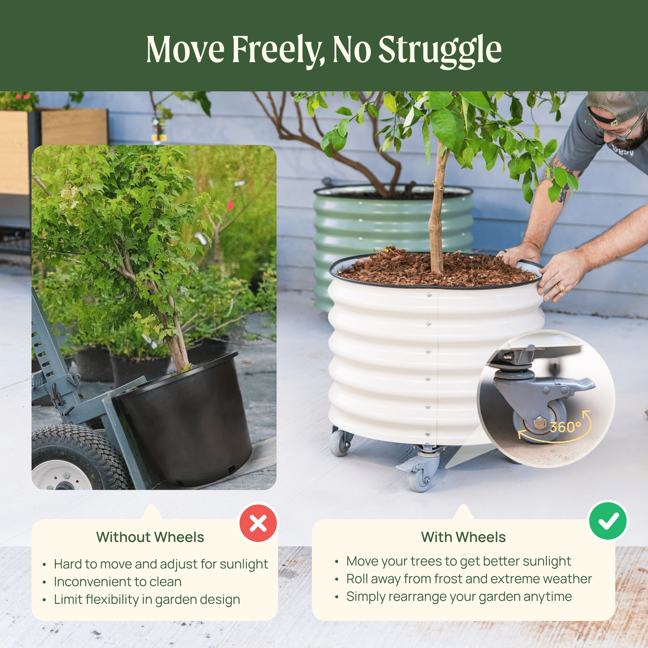Classic Rolling Citrus Tree Planter - 45 Gallon