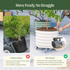 Classic Rolling Citrus Tree Planter - 45 Gallon