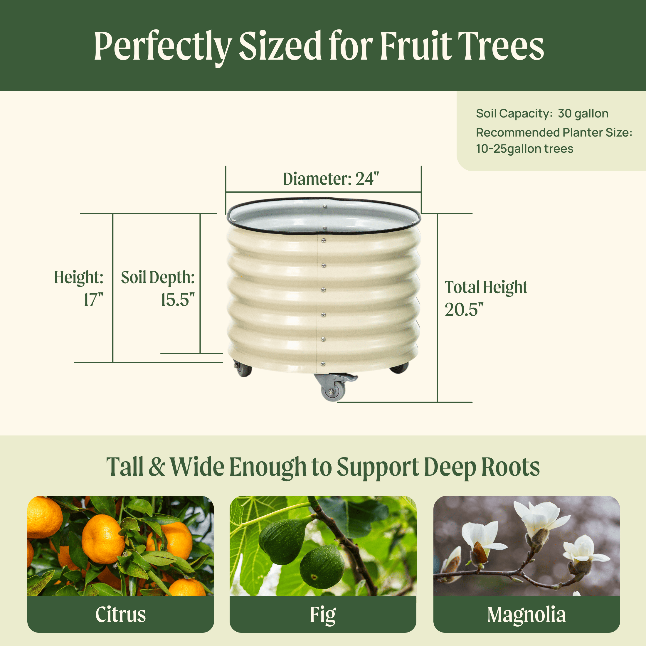 Classic Rolling Citrus Tree Planter - 45 Gallon