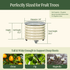 Classic Rolling Citrus Tree Planter - 45 Gallon