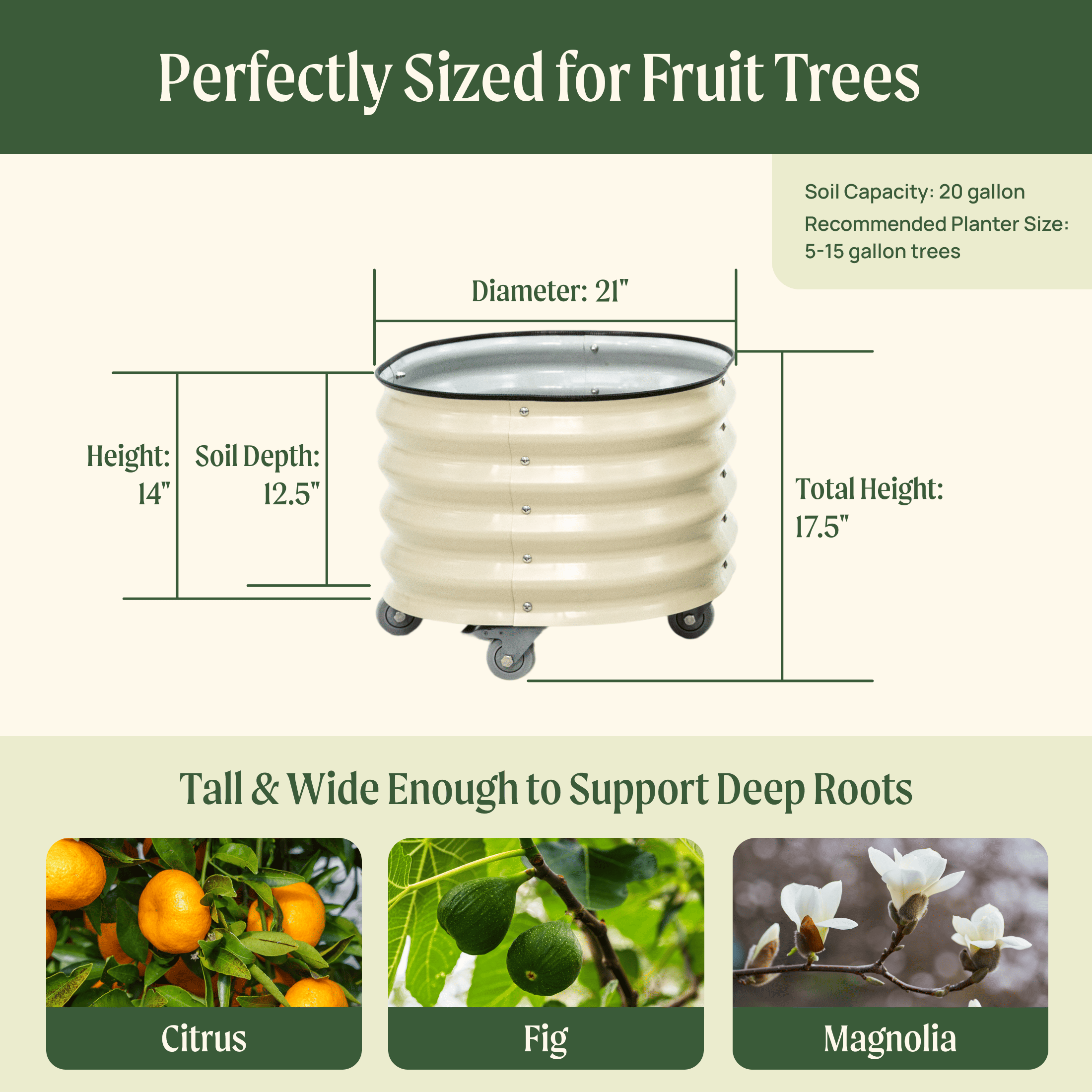 Classic Rolling Citrus Tree Planter - 20 Gallon