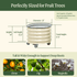 Classic Rolling Citrus Tree Planter - 45 Gallon