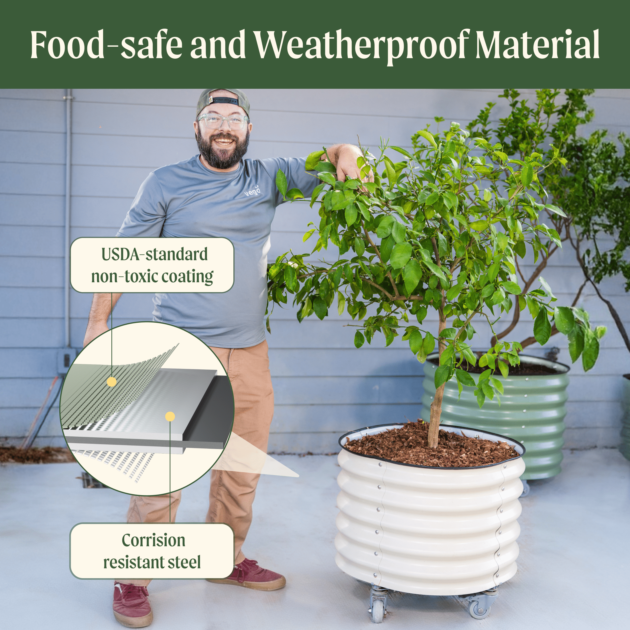 Classic Rolling Citrus Tree Planter - 20 Gallon