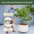 Classic Rolling Citrus Tree Planter - 45 Gallon