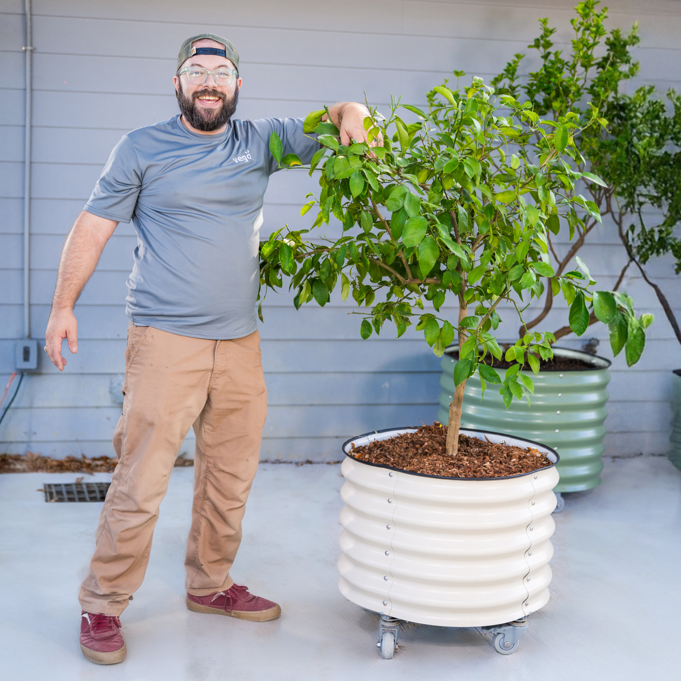 Classic Rolling Citrus Tree Planter - 45 Gallon