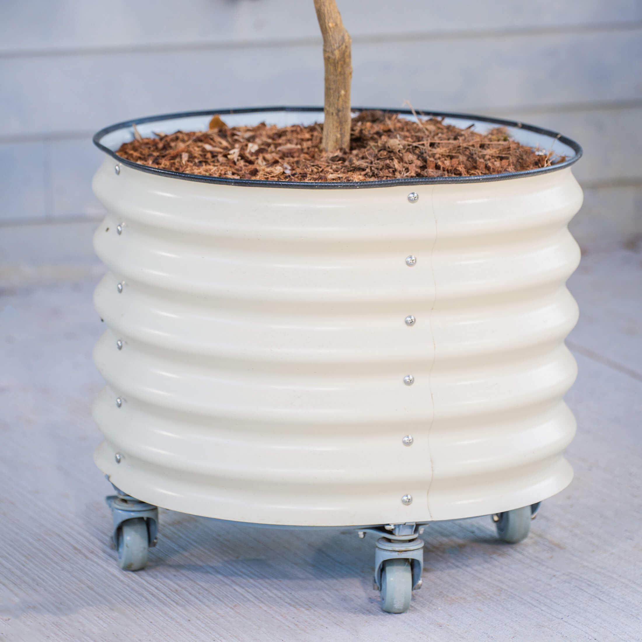 Classic Rolling Citrus Tree Planter - 45 Gallon