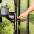 Vego Pacific Greenhouse - 10.5ft Wide