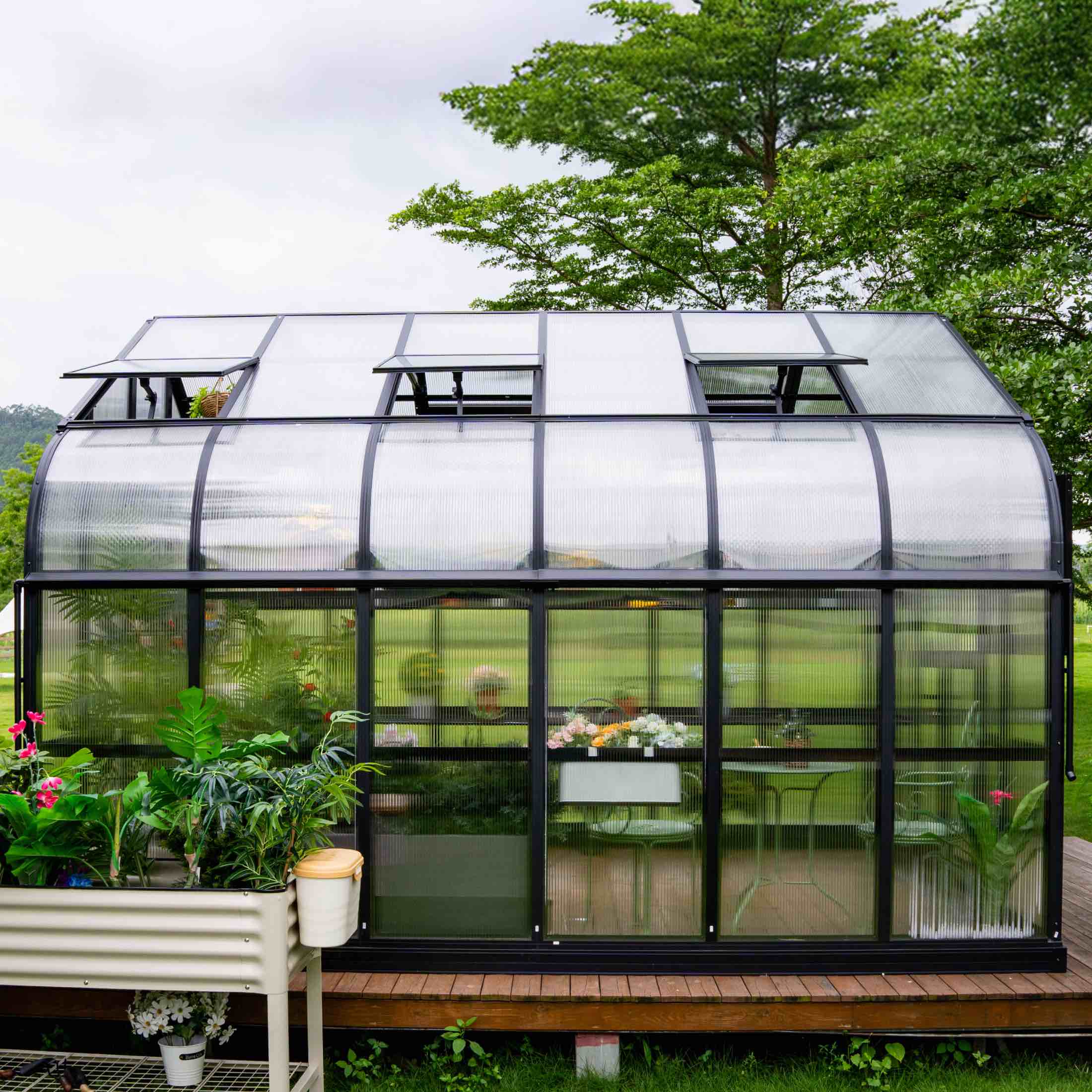 Vego Pacific Greenhouse - 10.5ft Wide