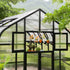 Vego Grand Pacific Greenhouse - 12.5ft Wide