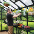 Vego Grand Victorian Greenhouse - 12.5ft Wide