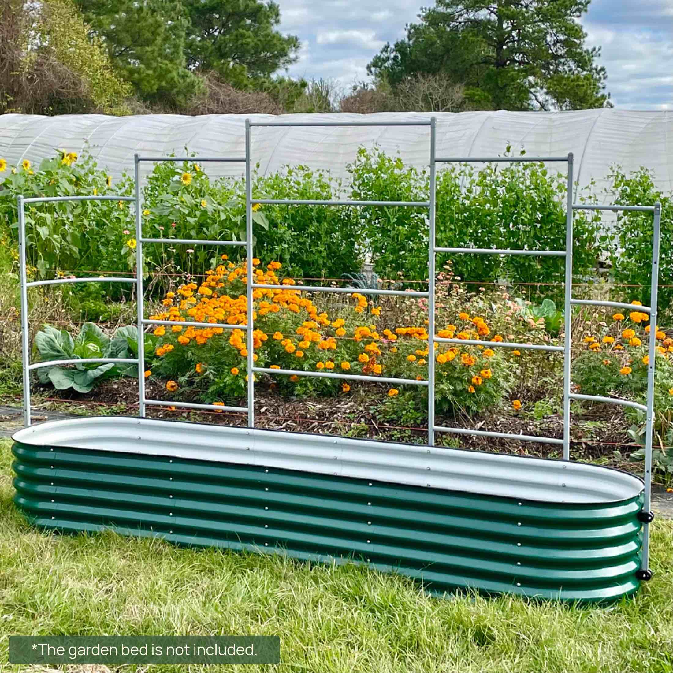 Wall Trellis System