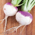 American Purple Top Rutabaga - Team Grow