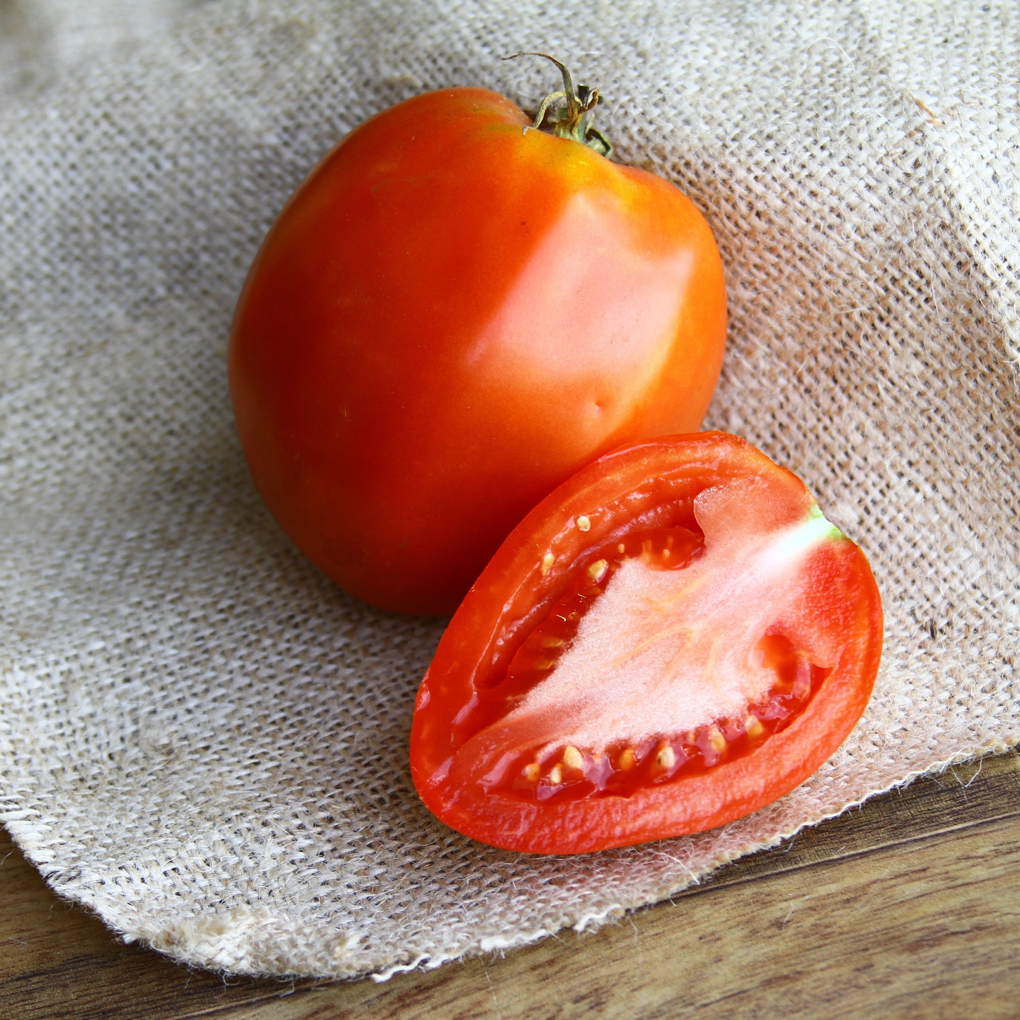 Amish Paste Tomato - Team Grow