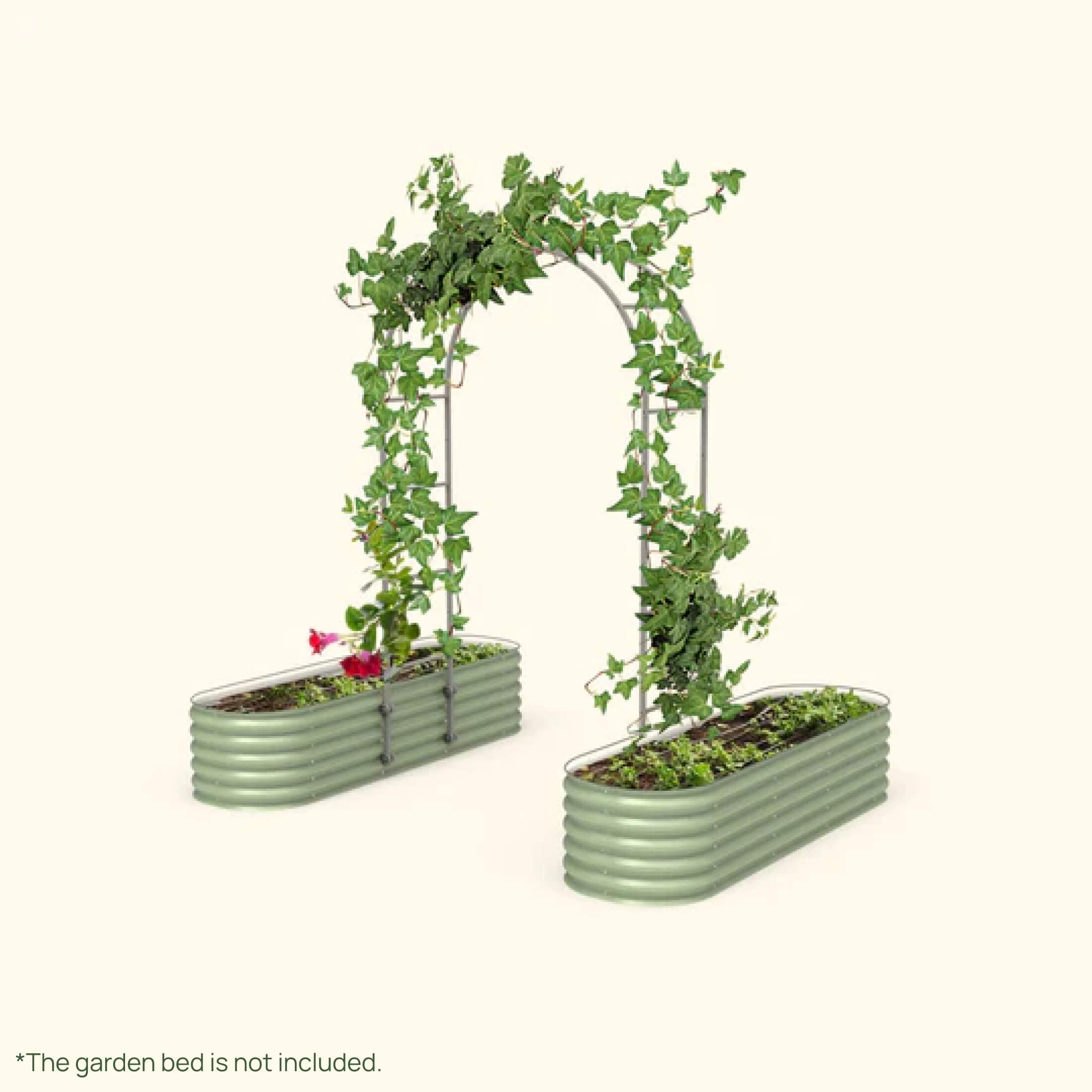 Arched Trellis System - Team Grow