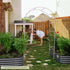 Arched Trellis System - Team Grow