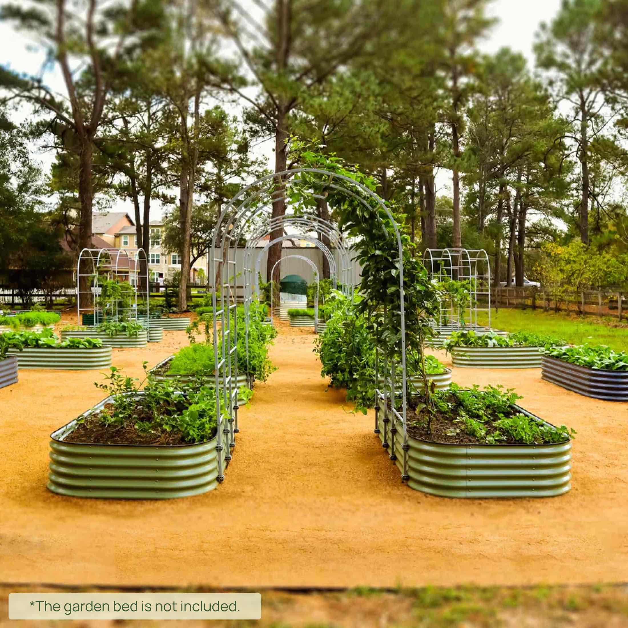 Arched Trellis System - Team Grow