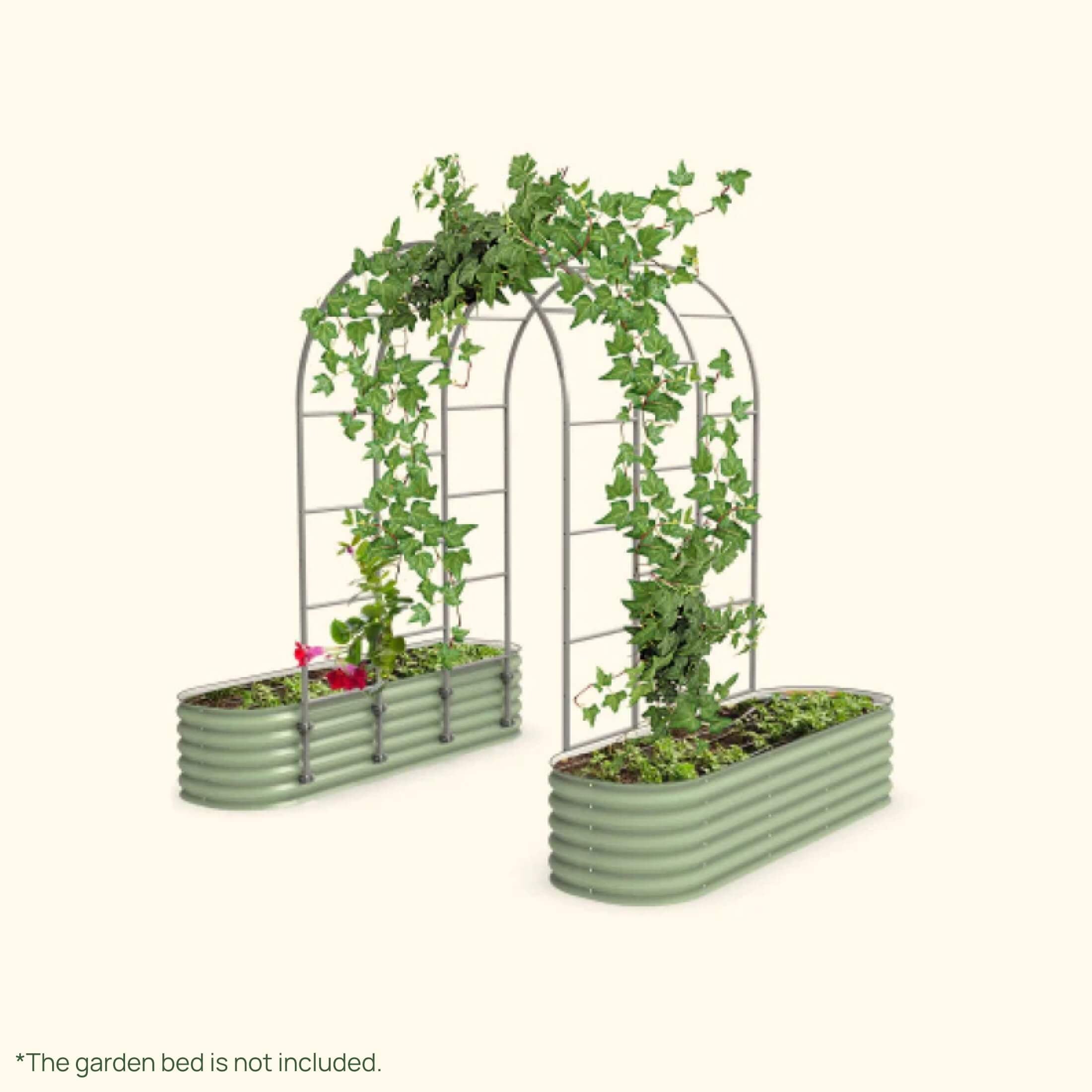 Arched Trellis System - Team Grow