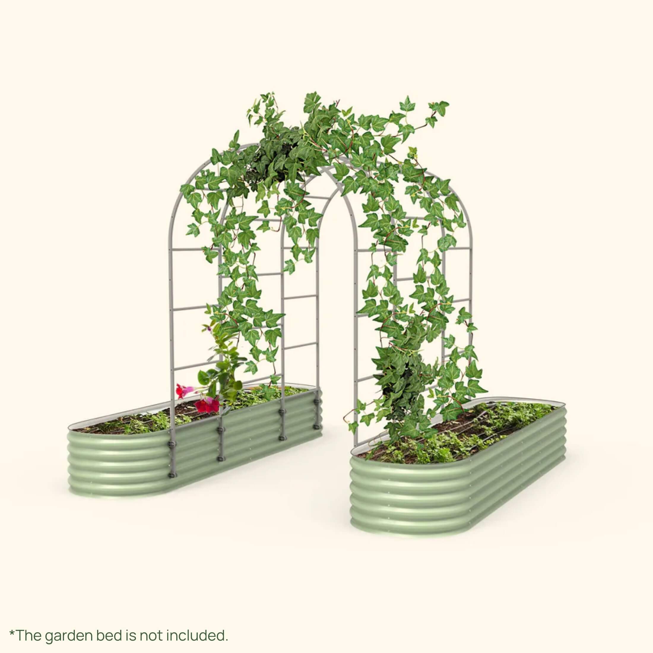 Arched Trellis System - Team Grow