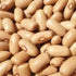 Arikara Yellow Bean (Bush) - Team Grow