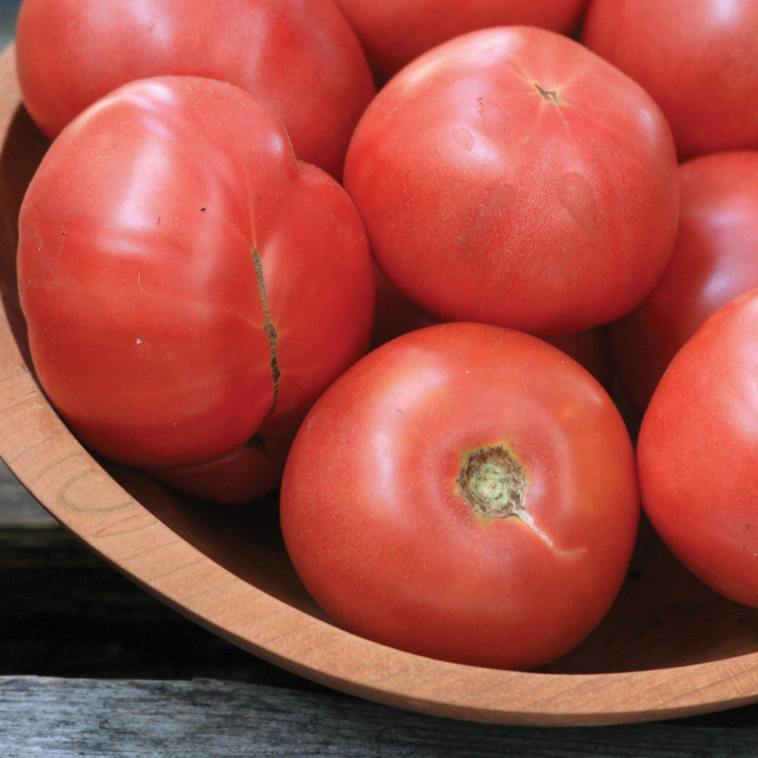 Arkansas Traveler Tomato - Team Grow