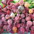 Assorted Beet Mix - Team Grow