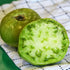 Aunt Ruby's German Green Tomato - Team Grow