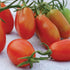 Baby Roma Tomato - Team Grow