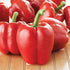 Big Red Bell Pepper - Team Grow