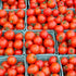 Bing Cherry Tomato - Team Grow
