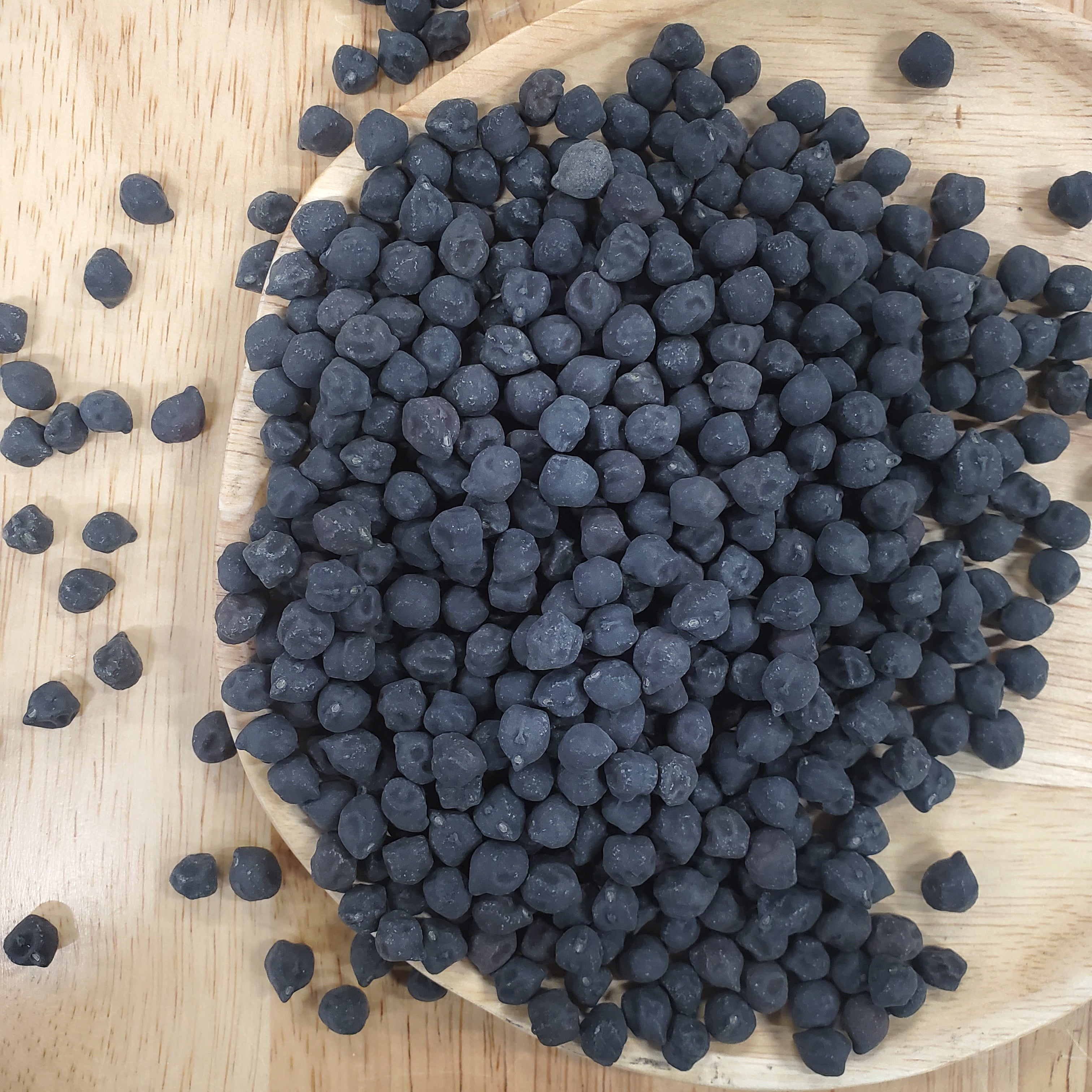 Black Garbanzo Bean (Bush) - Team Grow