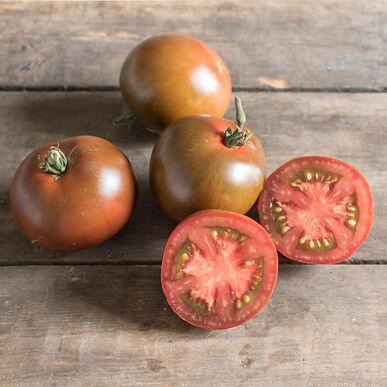 Black Prince Tomato - Team Grow
