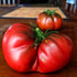 Black Sea Man Tomato - Team Grow