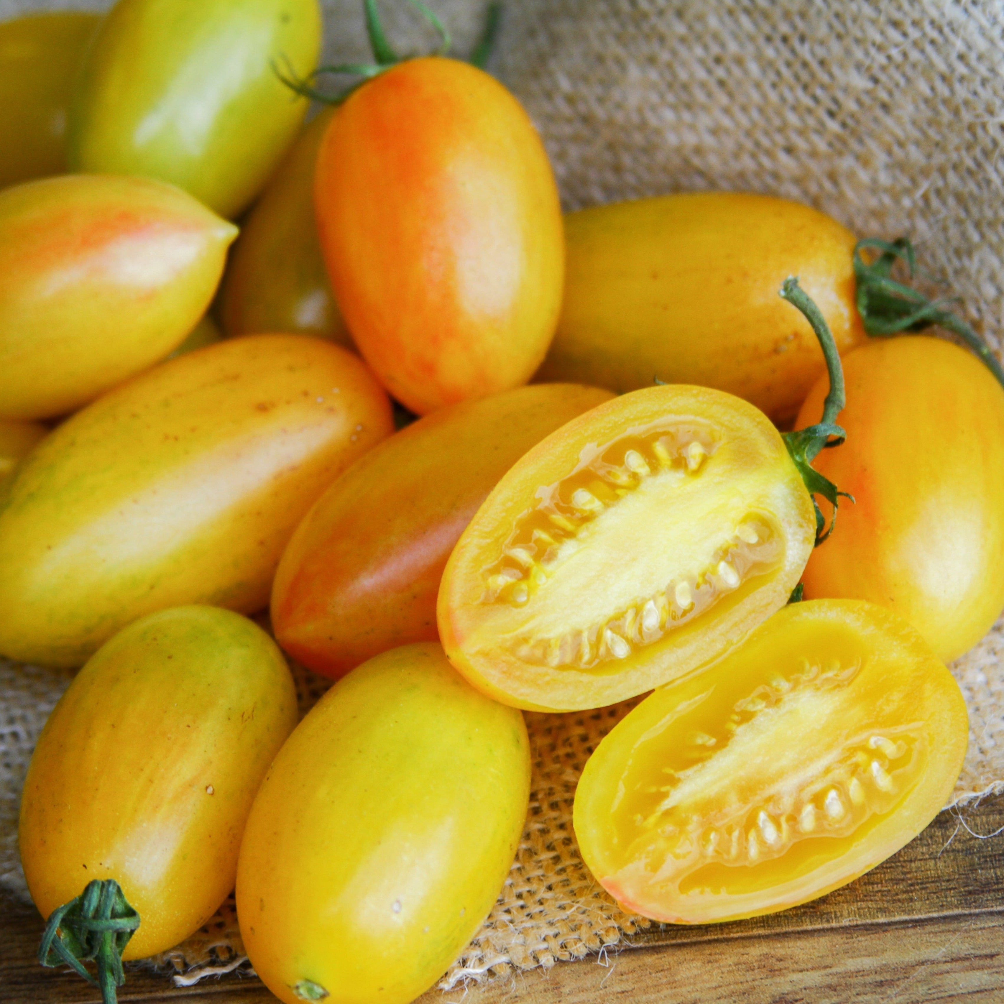 Blush Tomato - Team Grow