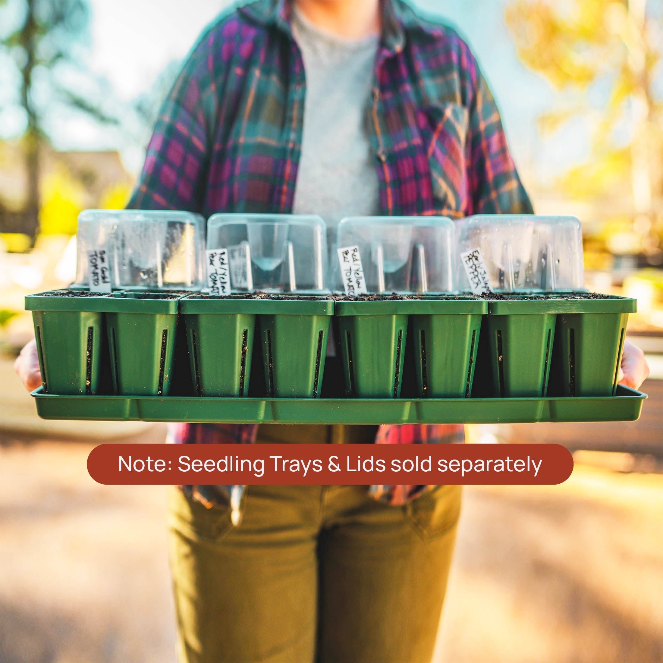 Bottom Watering Trays - Team Grow