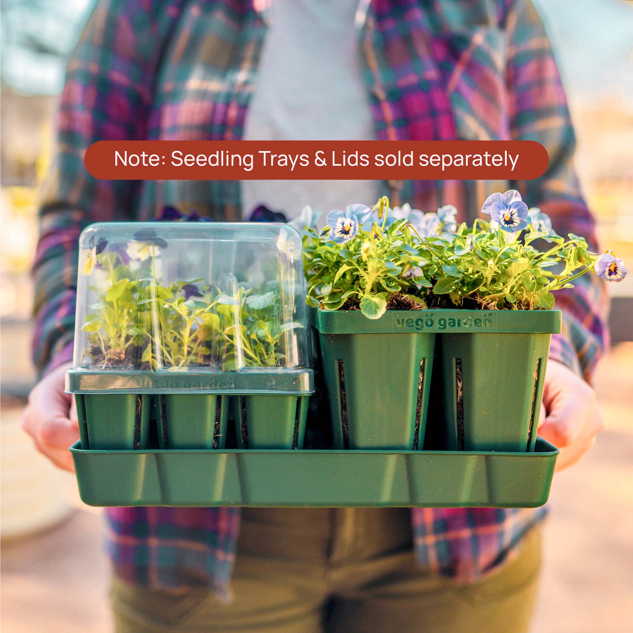 Bottom Watering Trays - Team Grow