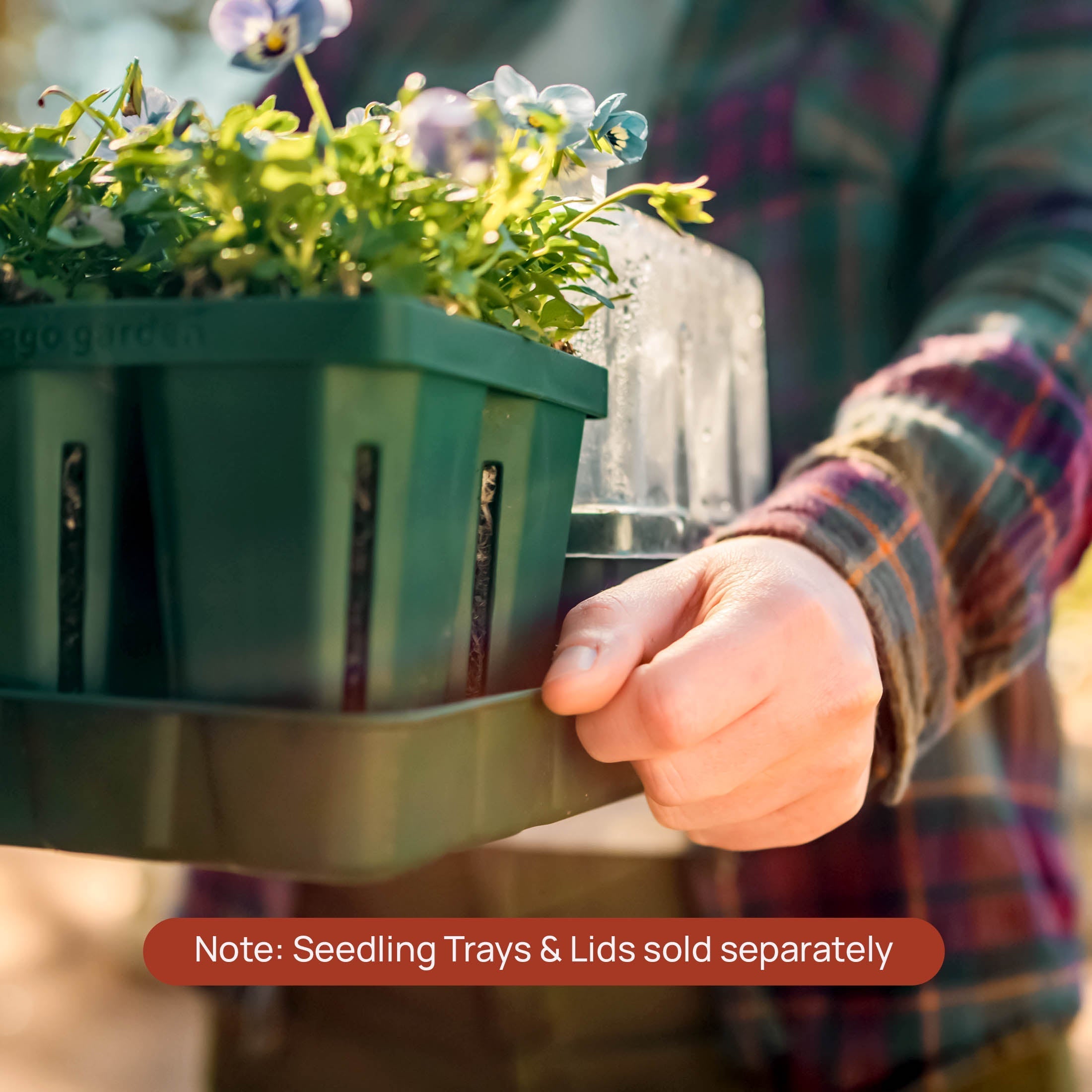 Bottom Watering Trays - Team Grow