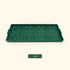 Bottom Watering Trays - Team Grow