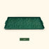 Bottom Watering Trays - Team Grow