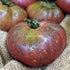 Brandywine Black Tomato - Team Grow