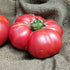 Brandywine Pink Tomato - Team Grow