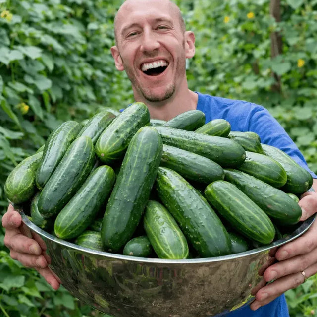 A gardener holding a large bowl of fresh cucumbers