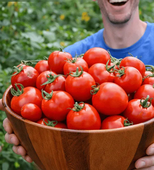 A wooden bowl piled with ripe red tomatoes