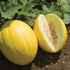 Canary Yellow Melon - Team Grow