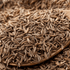 Caraway - Team Grow