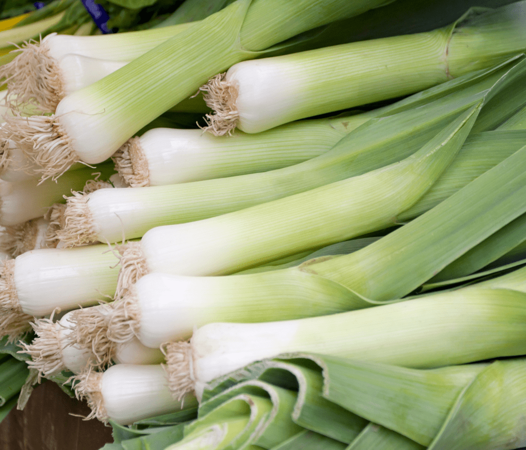 Carentan Leek - Team Grow