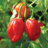 Caribbean Red Habanero Pepper - Team Grow